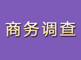 玛曲商务调查